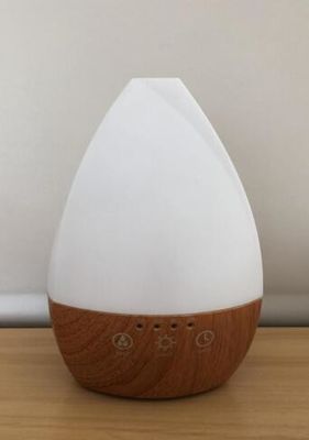Humidificateur d'air mini USB de 160 ml Diffuseur de parfum pour aromathérapie